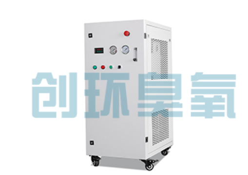 栾城石斑鱼养殖水质调控完整指南:臭氧发生器配置与操作步骤