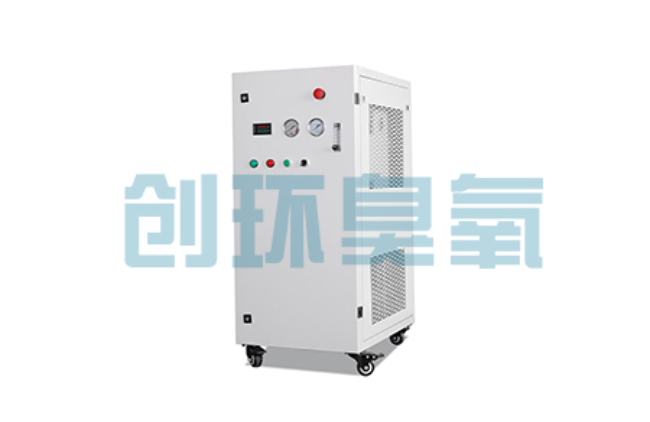 栾城比传统换水更高效?臭氧发生器在石斑鱼养殖中的水质净化原理解析